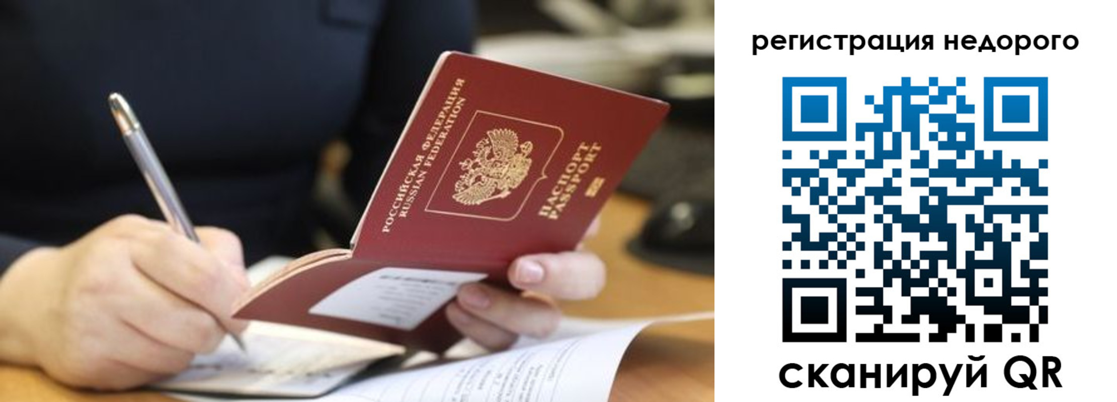 прописка гарантия в Ельне